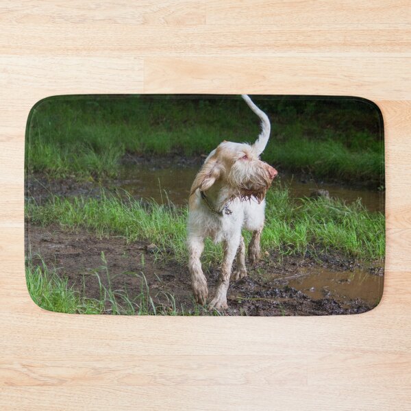 Item preview, Puddle explorer Spinone by heidiannemorris designed and sold by FOLK ART FUSION by heidiannemorris.