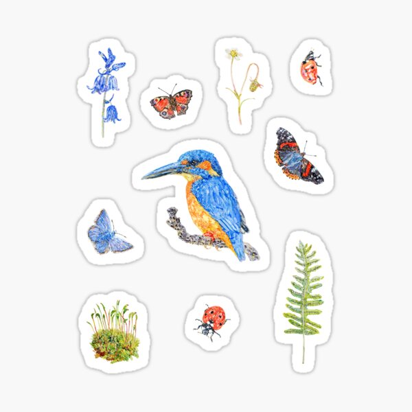 Woodland Stream - White Sticker