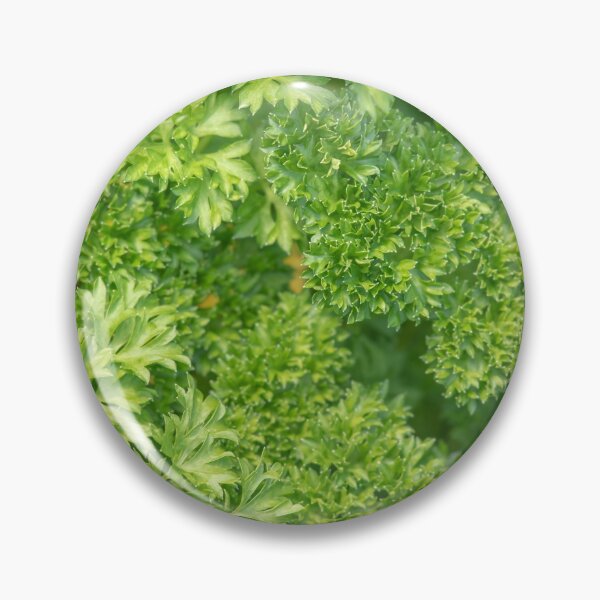 Item preview, Green parsley designed and sold by EngineerGoC.