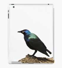 shiny bird sticker iPad Case/Skin