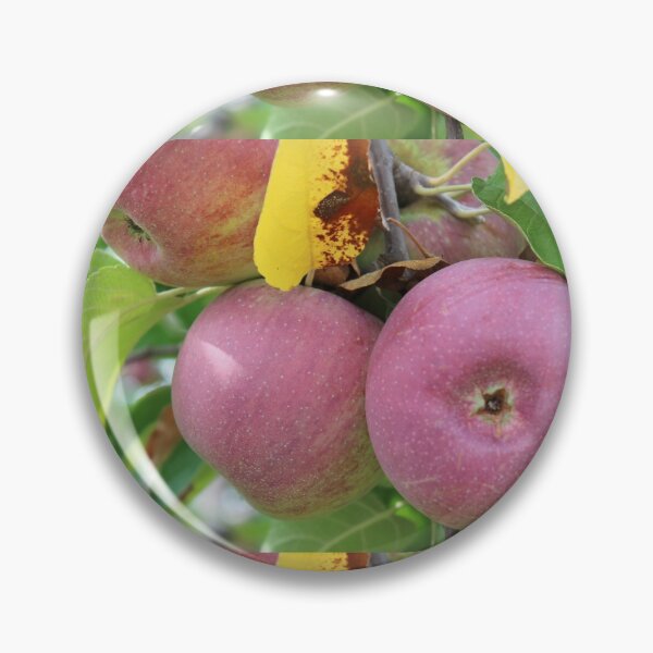 Item preview, Red Apples designed and sold by Susie Kramer.