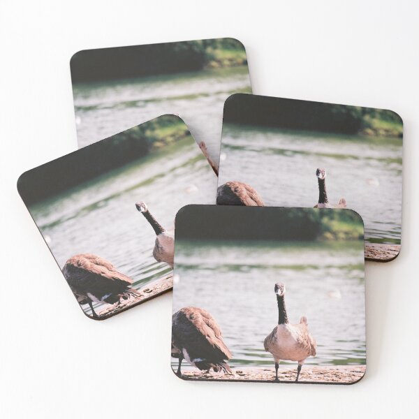 Item preview, Canada Geese designed and sold by BlueBellPhotos.