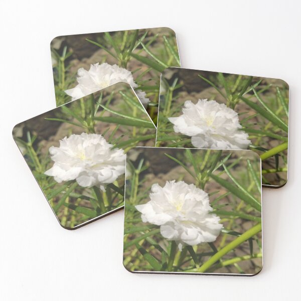 Item preview, Simple White Carnation Flower designed and sold by Luxxe87.