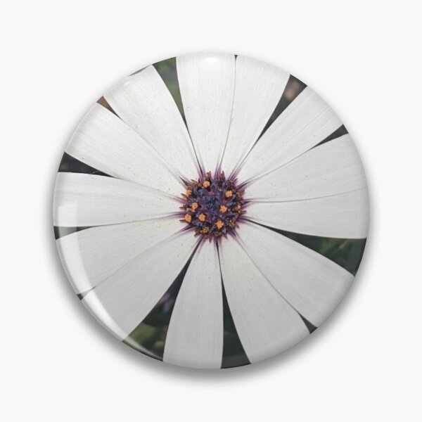 Item preview, Blossoming White Osteospermum Flowers designed and sold by PLANTONE.