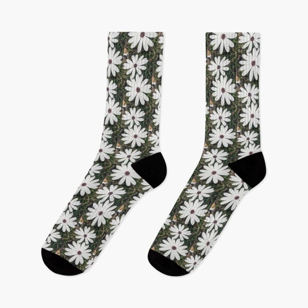 Item preview, Blossoming White Osteospermum Flowers designed and sold by PLANTONE.