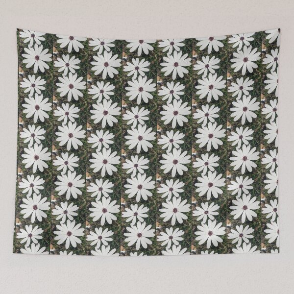Item preview, Blossoming White Osteospermum Flowers designed and sold by PLANTONE.