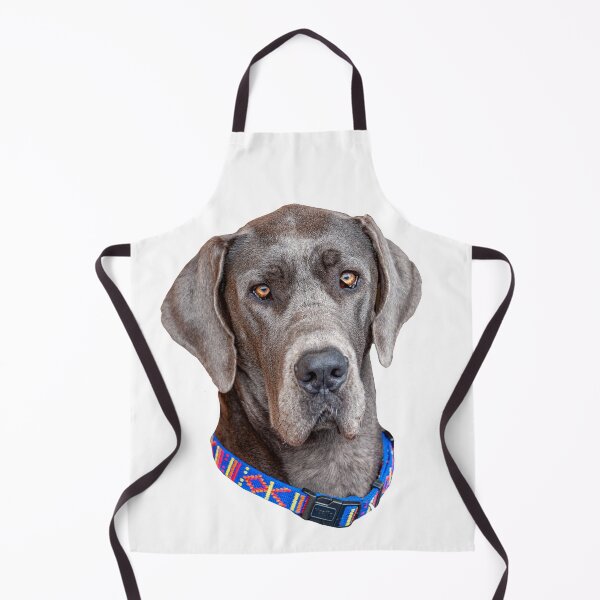 Artikelvorschau, Blaue Deutsche Dogge entworfen und verkauft von Dalyndigital Photography.