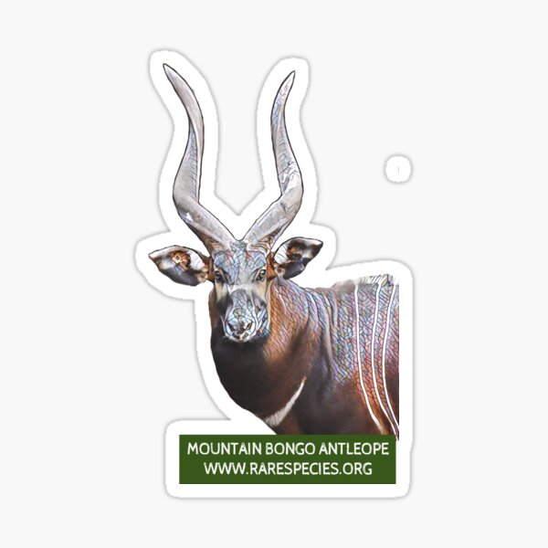 Mountain Bongo Antelope Sticker