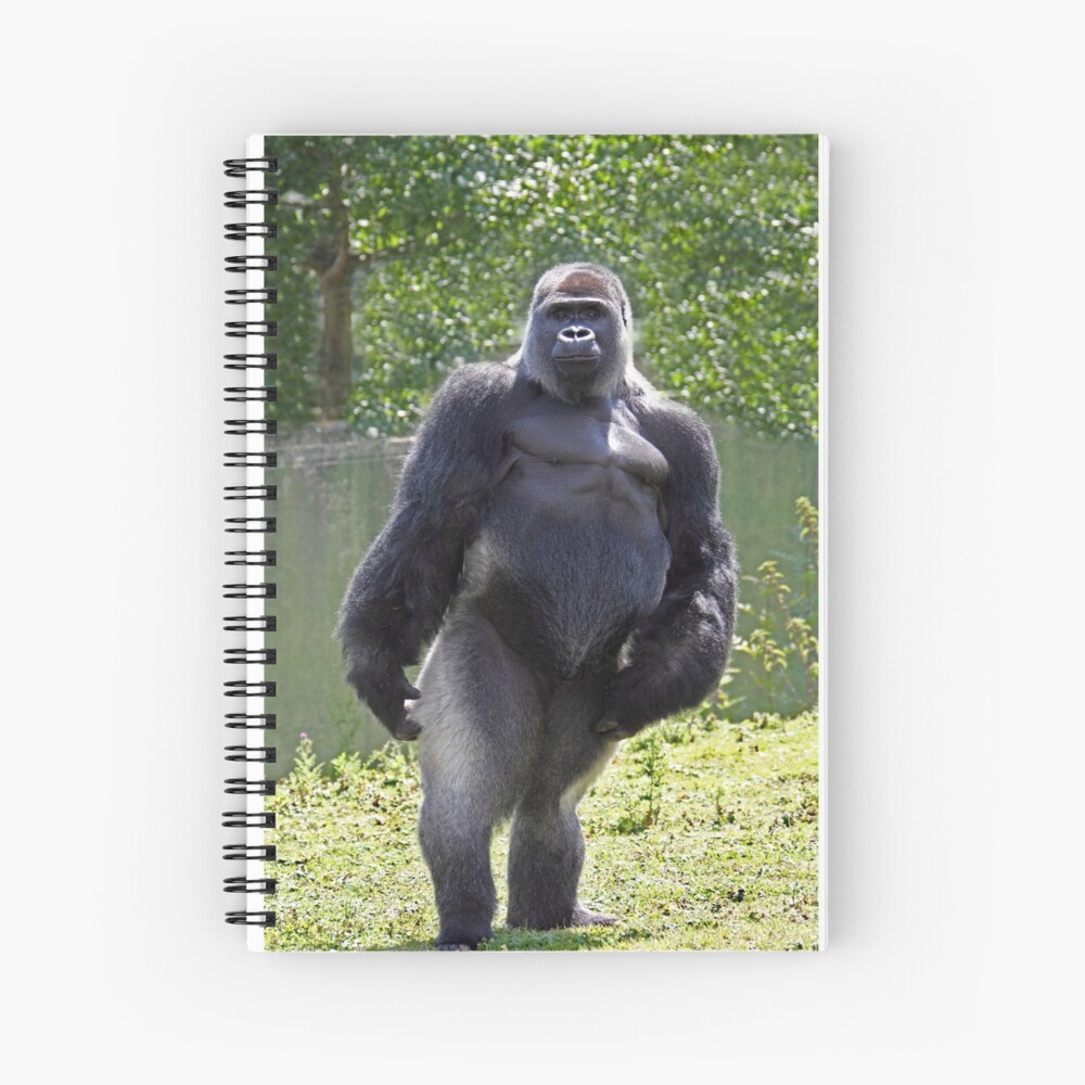 "Gorilla stand up" Spiral Notebook for Sale by daveashwin Redbubble