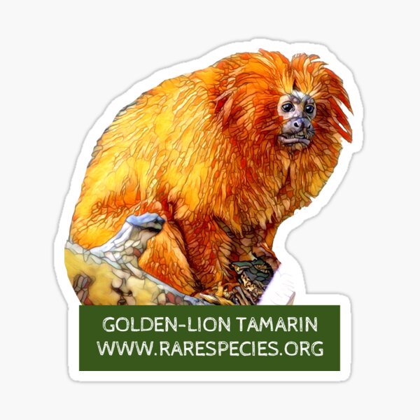 Golden-Lion Tamarin Sticker