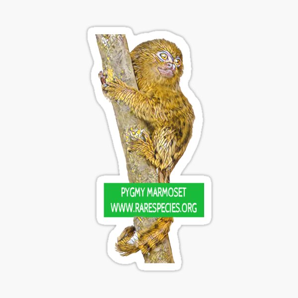 Pygmy Marmoset Sticker
