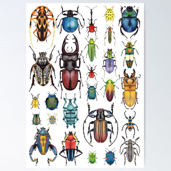 Item preview, Beetle Mania designed and sold by OhHokeyPokey.