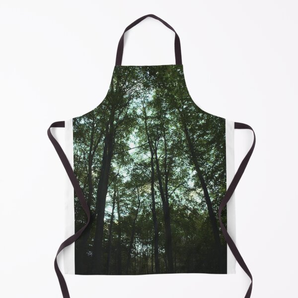 Aperçu de l'œuvre Forêt Moody créée et vendue par Anna Prendergast.