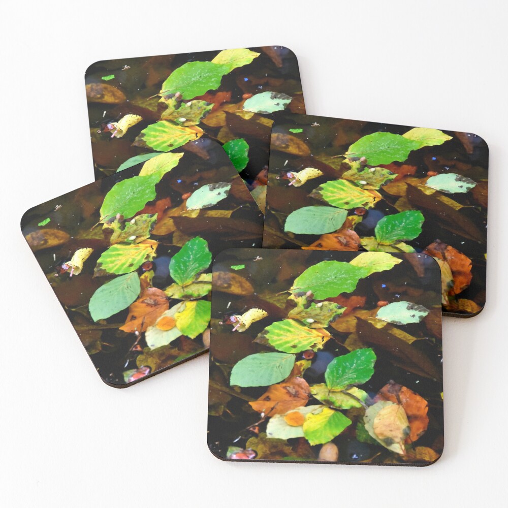 Item preview, Coasters (Set of 4) designed and sold by jchanders.