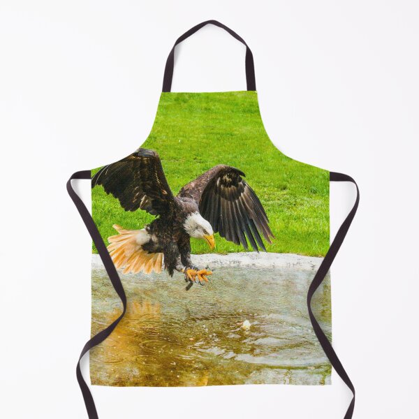 Item preview, fwc 1143 adler designed and sold by fred chiea.