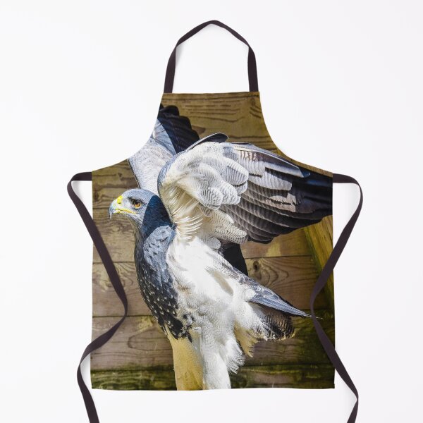 Item preview, fwc 1145 adler designed and sold by fred chiea.