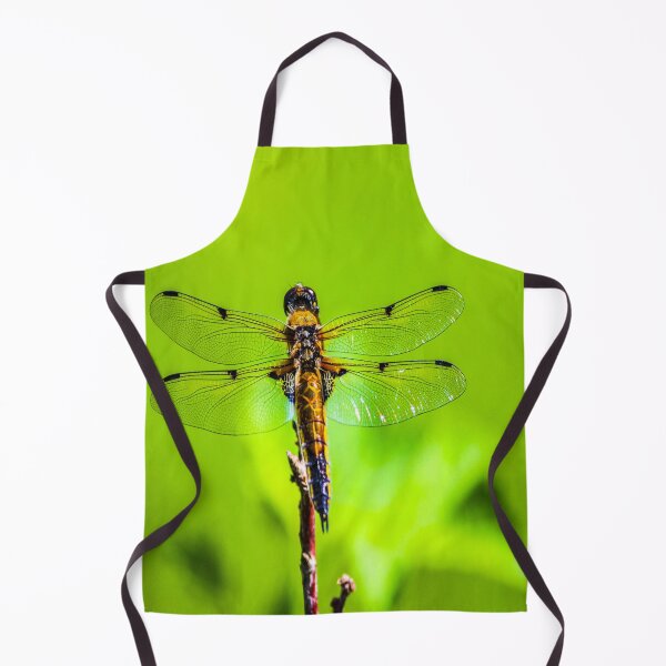 Item preview, fwc 1125 dragonfly designed and sold by fred chiea.