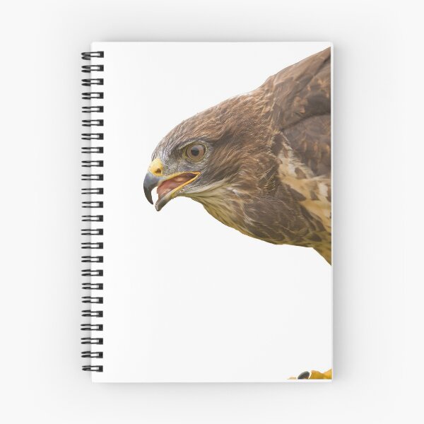 Item preview, Buzzard designed and sold by Jon Lees.