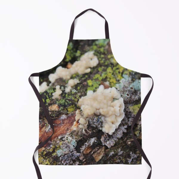 Item preview, Fungus on a Log designed and sold by Susie Kramer.