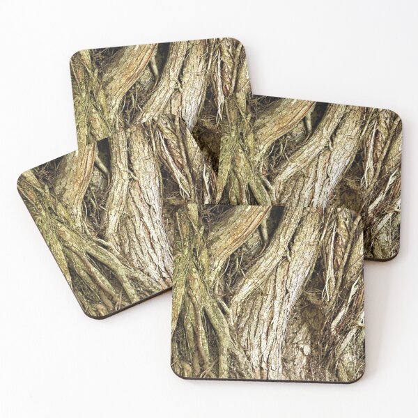 Item preview, Majestic Gnarled Ficus Tree Trunk and Aerial Roots Texture designed and sold by Anna Lemos.