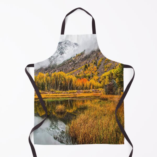 Item preview, fwc 1241 summer spring autumn usa designed and sold by fred chiea.