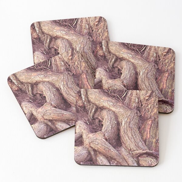 Item preview, Ancient Gnarled Ficus Tree Trunk and Aerial Roots Texture designed and sold by Anna Lemos.