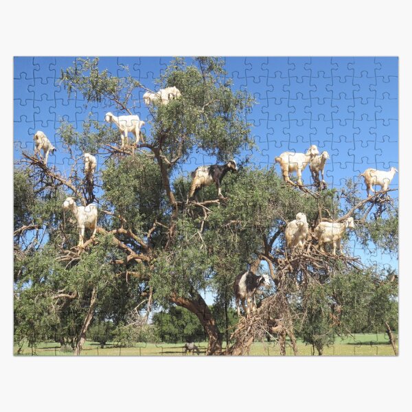 Item preview, goats in trees designed and sold by AHELENE.