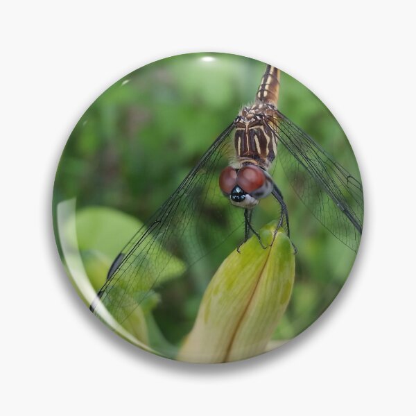 Item preview, Dragonfly on a bud designed and sold by OnaCreates.