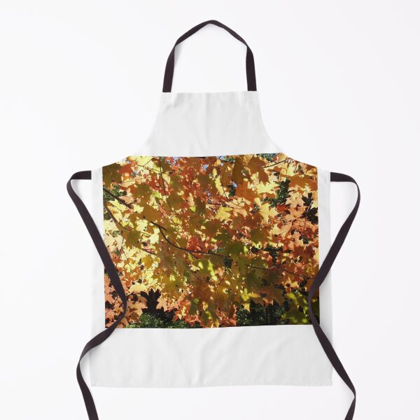 Item preview, Maple Leaves in the Fall designed and sold by Richard W J Conyard.