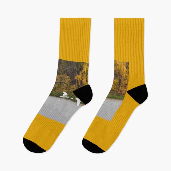 Item preview, When the leaves turn yellow. Whooper swan designed and sold by Jouko Lehto Photography.