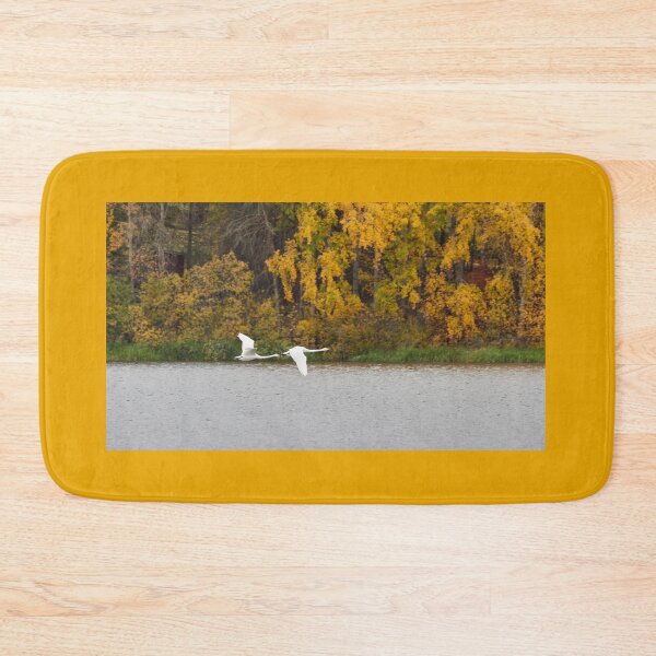 Item preview, When the leaves turn yellow. Whooper swan designed and sold by Jouko Lehto Photography.
