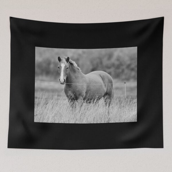 Item preview, Pensamientos de caballos en bw designed and sold by Jouko Lehto Photography.