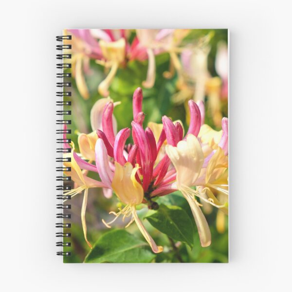 Item preview, flores de madreselva en verano designed and sold by markspics.
