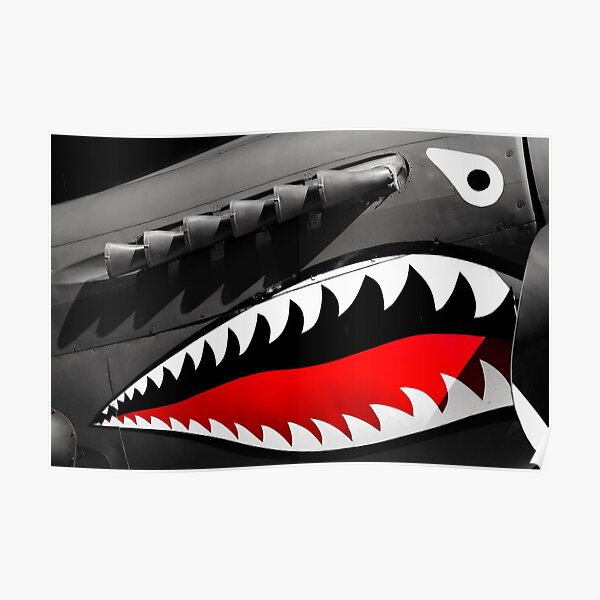 "Shark Nose Art" Poster for Sale by rabbitholephoto | Redbubble
