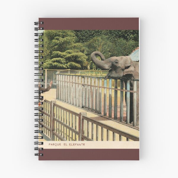 Item preview, Vintage Barcelona park the Elephant in colour designed and sold by aapshop.