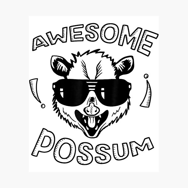 awesome-possum-cool-possum-humor-photographic-print-by-janelamico