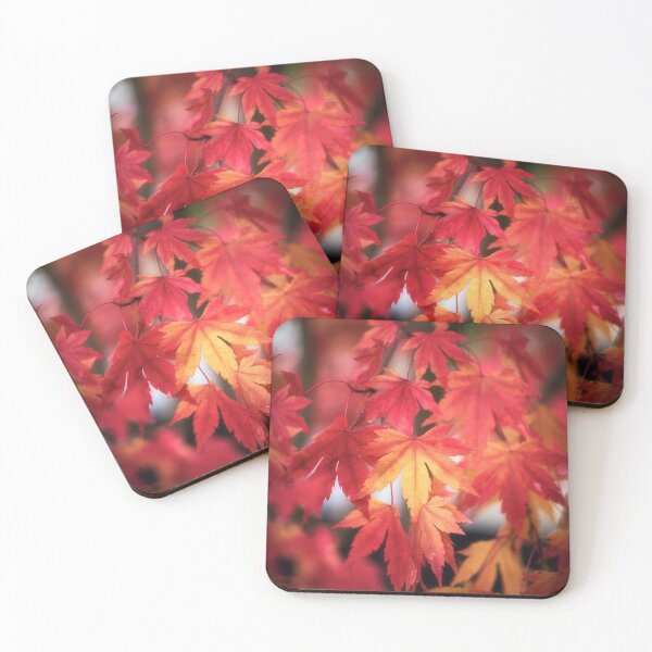 Item preview, October Maple designed and sold by Philippe Sainte-Laudy.
