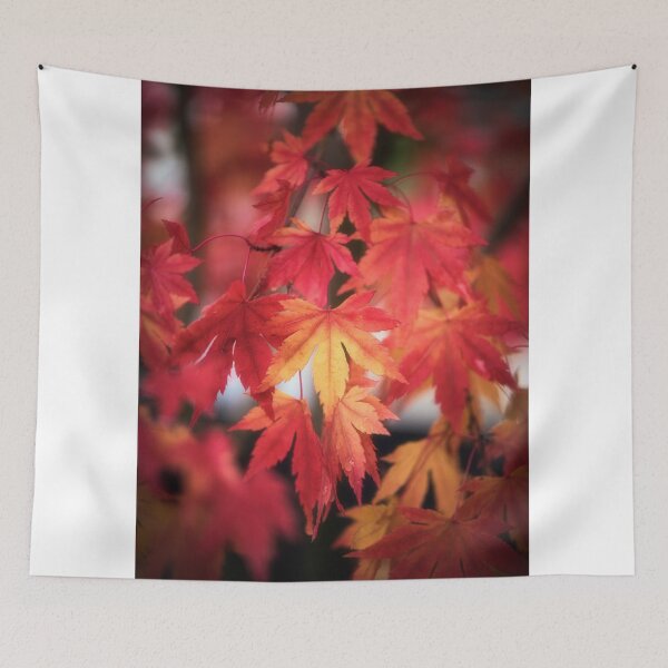 Item preview, October Maple designed and sold by Philippe Sainte-Laudy.
