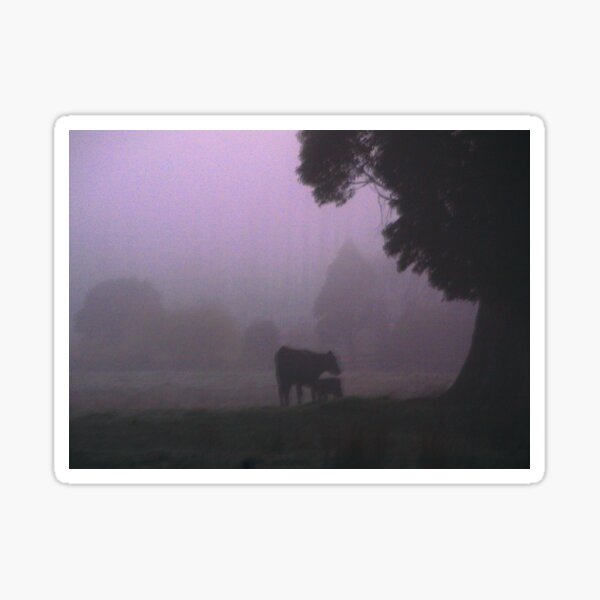 Foggy Morning On The Farm Sticker
