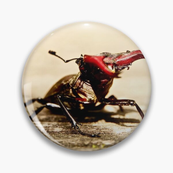 Item preview, Stag beetle designed and sold by Sturmlechner.