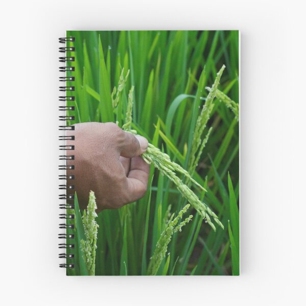 Item preview, Looking for rice designed and sold by Raquel Fletcher.