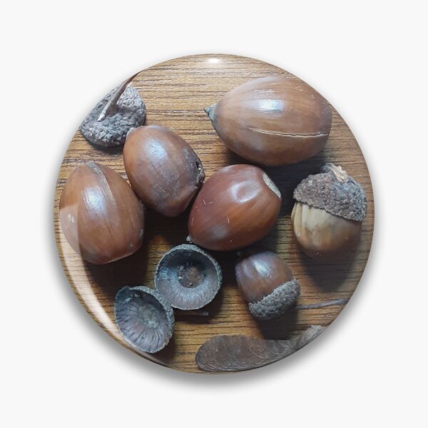 Artikelvorschau, Acorn Autumn Vibes entworfen und verkauft von AlexBool.
