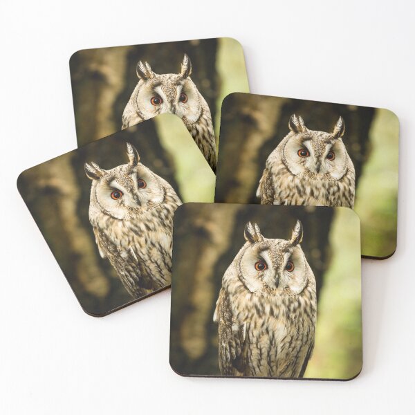 Item preview, Long Eared Owl On Tree Stump designed and sold by Jane Stanley Photography.