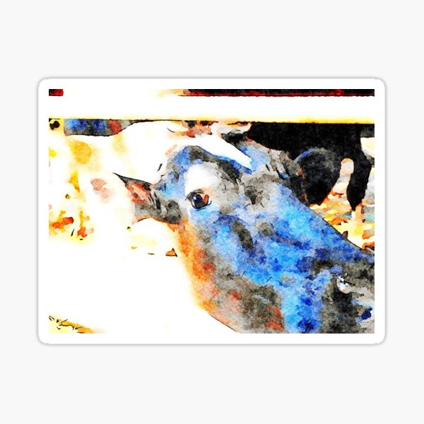 "Cow in the stall" Sticker by giuseppecocco Redbubble