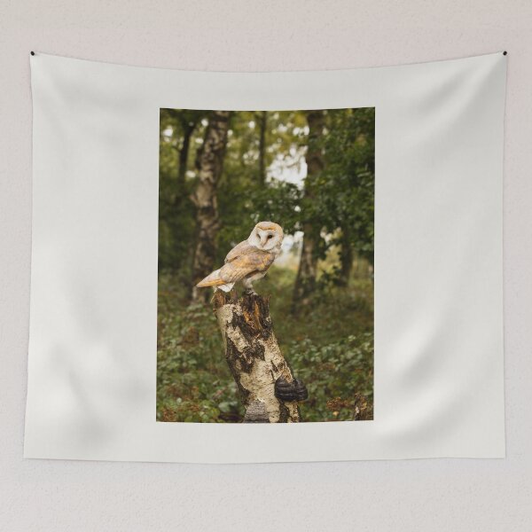 Item preview, Barn Owl On Silver Birch Tree Stump designed and sold by Jane Stanley Photography.