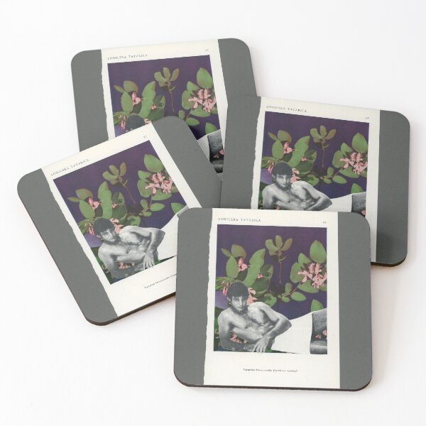 Item preview, Lonicera Tatarica - Gay Flower Specimen Series designed and sold by VintageDick.