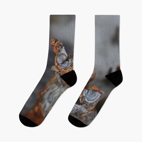 Item preview, Mangrove Roots in Madagascar designed and sold by Sensorybysophie.