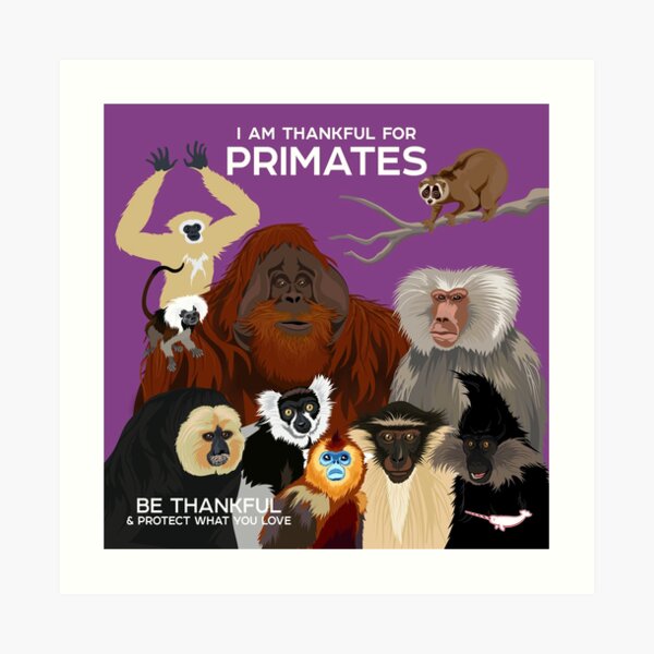 I Am Thankful For Primates Art Print