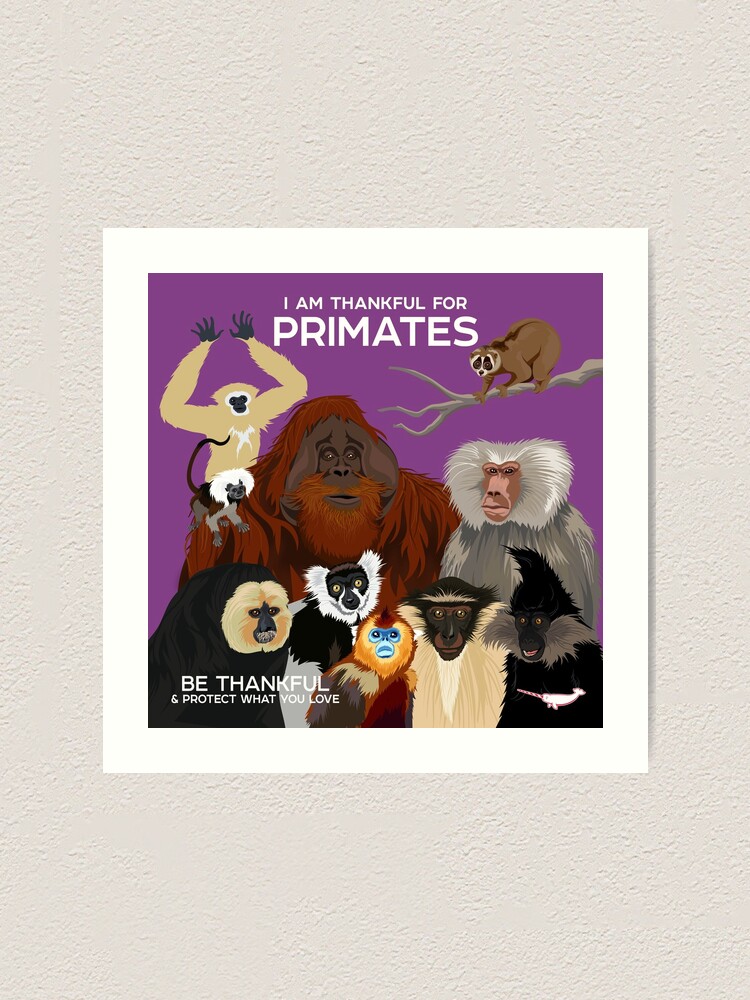 Alternate view of I Am Thankful For Primates Art Print