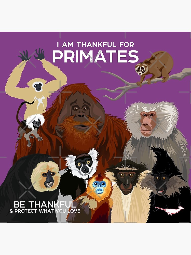 I Am Thankful For Primates by PepomintNarwhal